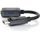 8IN DISPLAYPORT M TO VGA F BLK