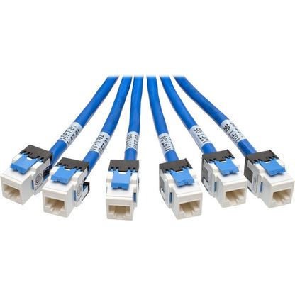 6FT CAT6 CAT6A TRUNK BUNDLE X6 AUGMENTED COPPER RJ45 M/F BLUE