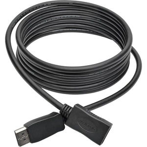 10 DISPLAYPORT EXTENSION CABLE 10FT 4K 60HZ HDCP 2.2 M/F DP CABLE