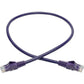 2FT CAT6 PURPLE UTP RJ45 M/M SNAGLESS MOLDED PATCH CABLED