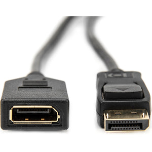 6FT DP M/F EXTENSION CABLE