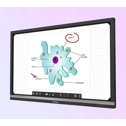 VIEWBOARD IFP5550-E4 BUNDLE INCL VB IFP5550 4K INTERACTIVE DISP