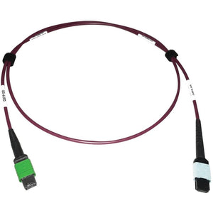 MMF FIBER OPTIC CABLE 400G F/F MTP/MPO-APC TO 24F MTP/MPO-UPC 1M