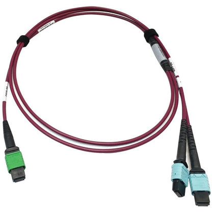 MMF FIBER OPTIC CABLE F/F 1M MTP/MPO-APC TO X2 12F MTP/MPO-UPC