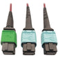 MMF FIBER OPTIC CABLE F/F 1M MTP/MPO-APC TO X2 12F MTP/MPO-UPC