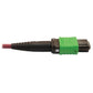 MMF FIBER OPTIC CABLE F/F 1M MTP/MPO-APC TO X2 12F MTP/MPO-UPC