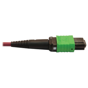 MMF FIBER OPTIC CABLE 400G F/F MTP/MPO-APC TO 24F MTP/MPO-UPC 3M