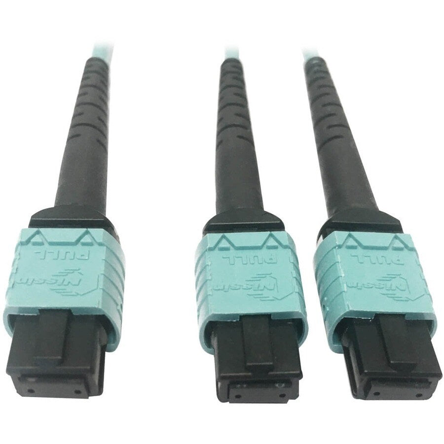 MMF FIBER OPTIC CABLE F/F 3M 24F MTP/MPO-PC TO X2 12F MTP/MPO-PC