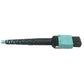 MMF FIBER OPTIC CABLE F/F 3M 24F MTP/MPO-PC TO X2 12F MTP/MPO-PC