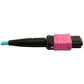 MMF FIBER OPTIC CABLE F/F 3M 24F MTP/MPO-UPC TO 16F MTP/MPO-UPC