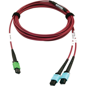 MMF FIBER OPTIC CABLE F/F 5M MTP/MPO-APC TO X2 12F MTP/MPO-UPC