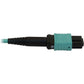 10M FIBER OPTIC CBL 40/100/400G MMF 50 OM3 12F MTP/MPO-PC M/F