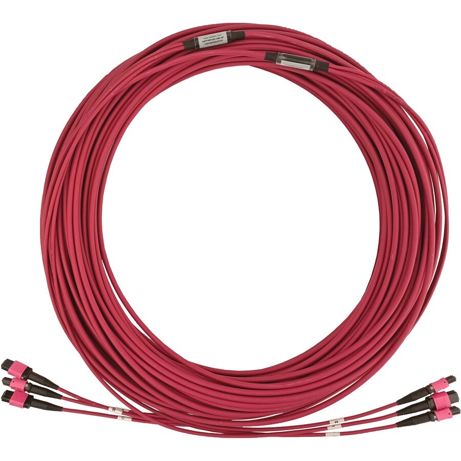 30M FIBER OPTIC CBL 40/100/400G MMF 50 OM4 3X8F MTP/MPO-PC F/F