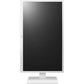 24IN LCD 1920X1080 MNTR VGA DVI DP HDMI PIVT HGHT SPKR VESA